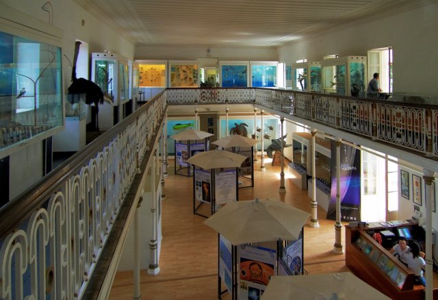 Intérieur du Muséum d’Histoire Naturelle