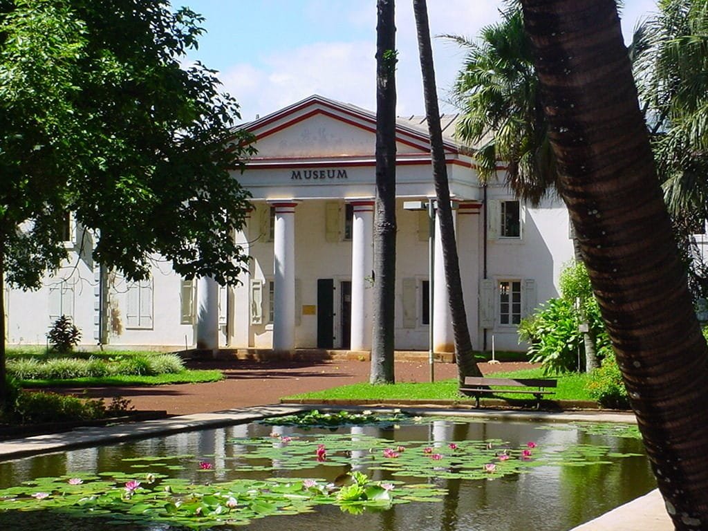 Le muséum d'histoire naturelle de la Réunion vu du jardin public de l'état